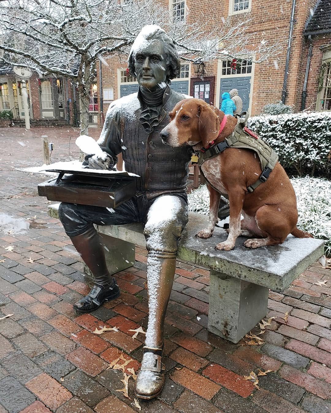 A dog sits beside the bronze statue of Thomas Jefferson in Colonial Williamsburg during a snowfall.